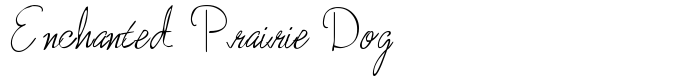 шрифт Enchanted Prairie Dog