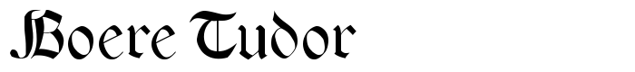 шрифт Boere Tudor