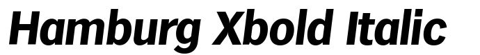 предпросмотр шрифта Hamburg Xbold Italic