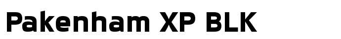 предпросмотр шрифта Pakenham XP BLK 