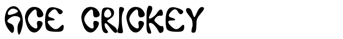 шрифт Ace Crickey
