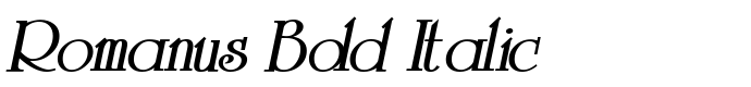 шрифт Romanus Bold Italic