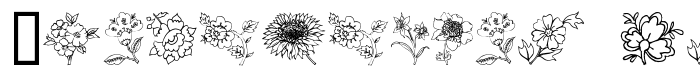 предпросмотр шрифта Traditional Floral Design